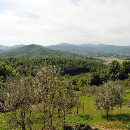 Unique In An Old Hamlet * Monte Castelli